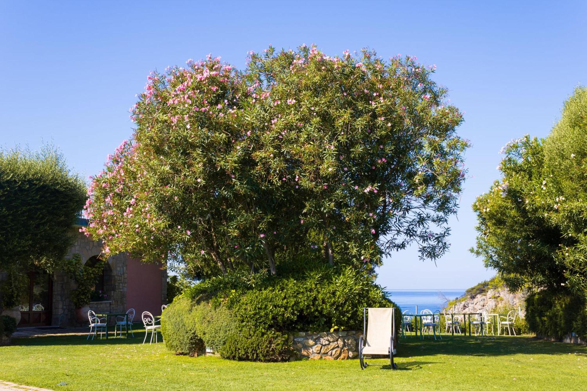 Hotel Capo D'Uomo Orbetello Eksteriør bilde